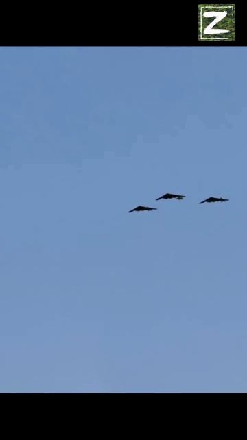 B- 2