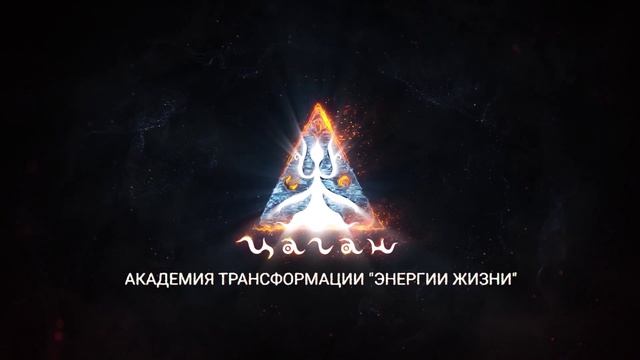 Отзывы