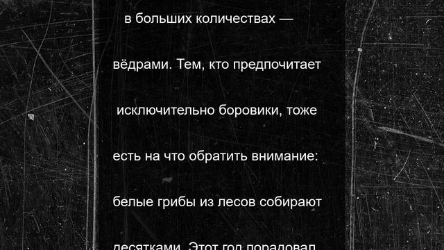 Грибной бум в июне: рязанцы собирают полные корзины белых и лисичек