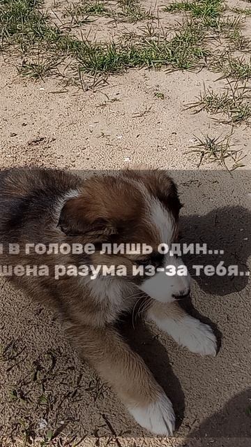 1000081549.mp4