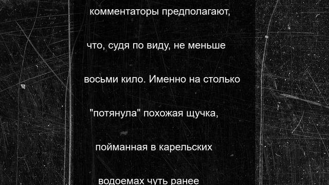 Рыбаки в Карелии продолжаются делиться в соцсетях фотосвидетельствами своих царских уловов