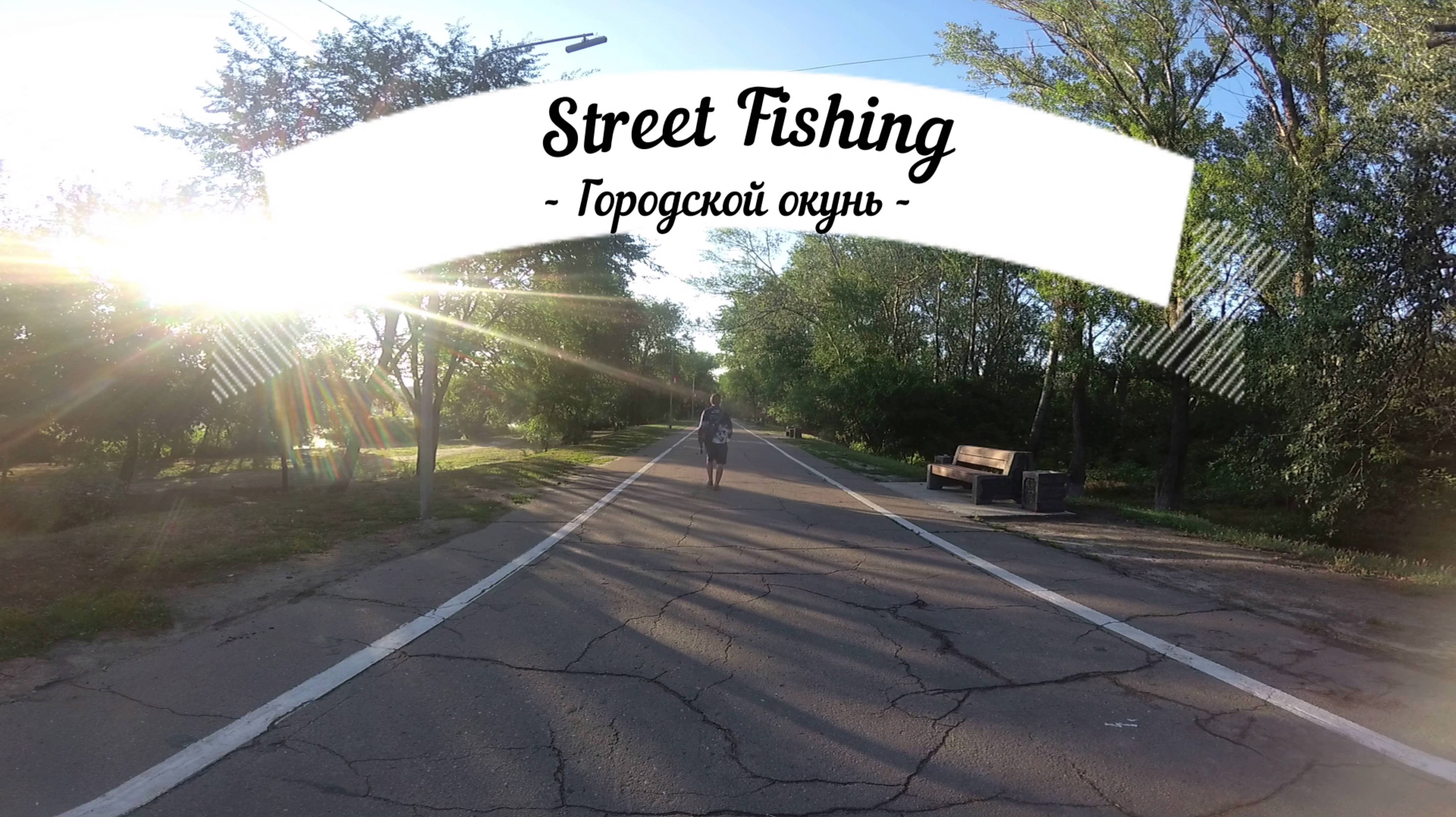 Стритфишинг. Городской окунь.