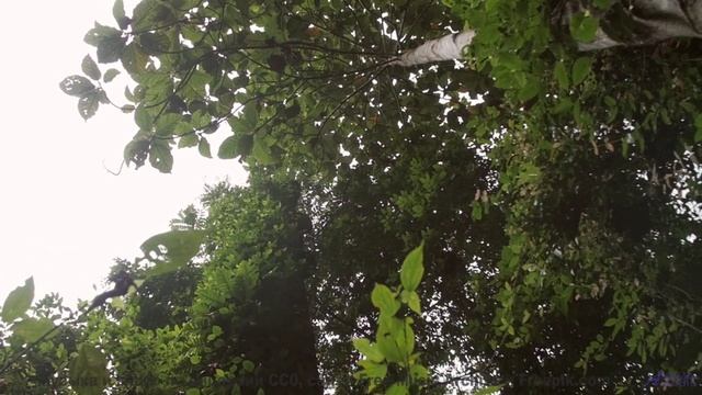 Ты слышал ЭТО под водой - Never Really Change -- Derek Clegg -- Good Graces