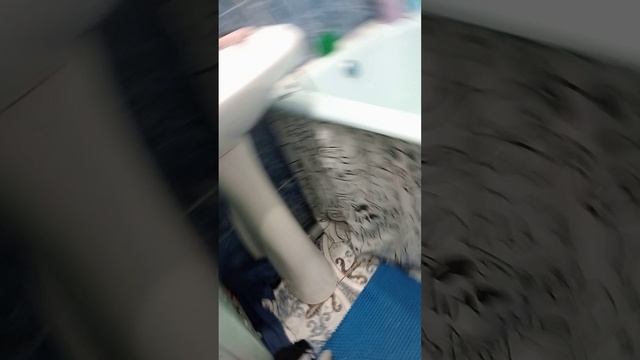 шарики с водой есть сюрприз Чтобы его открыть нужно проткнуть его нужно найти что-то остренькое
