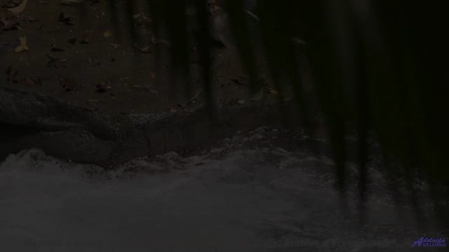 Включите и потеряйтесь в этом зелёном раю! - Bandwidth -- Ketsa -- Summer With Sound
