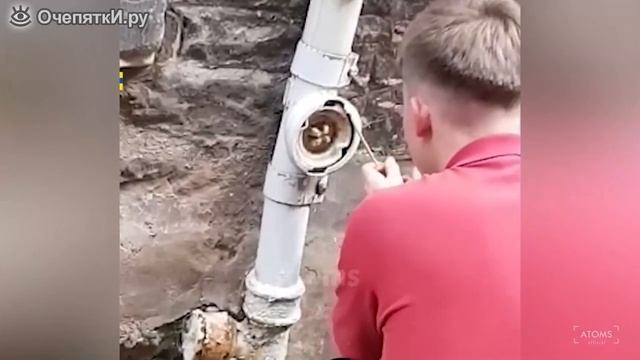 Сборка приколов с работниками