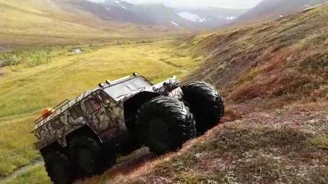 Хищник в тундре - отличное решение!