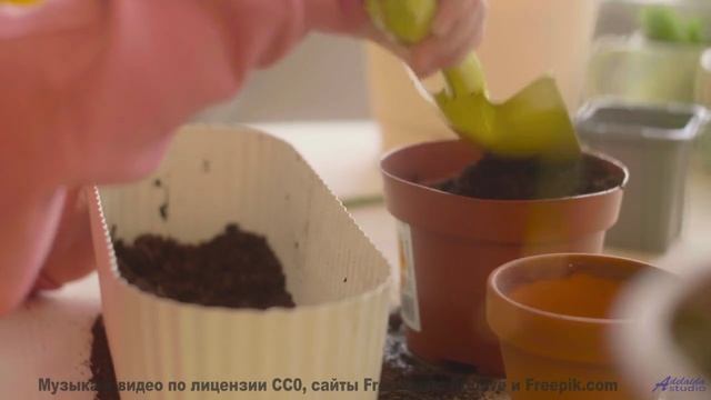 Пейзажи танцуют вместе с этим ритмом - Own It -- SUPERARE -- VII