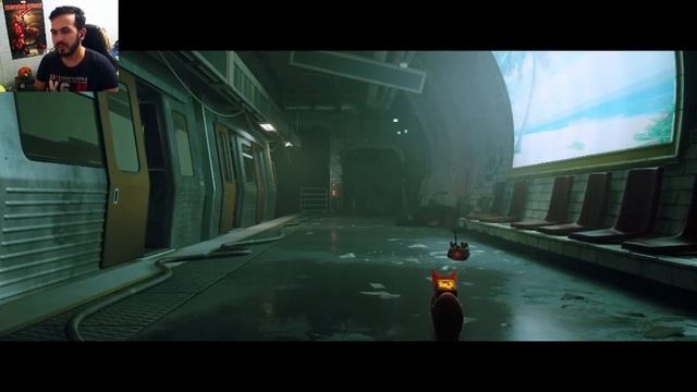 Еле спас друга от блох... Stray-7