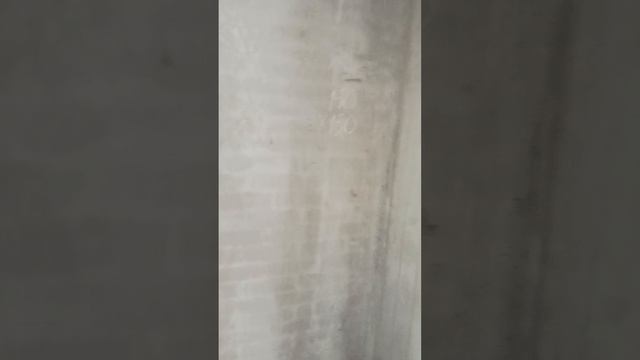 VID_20250620_162322.mp4