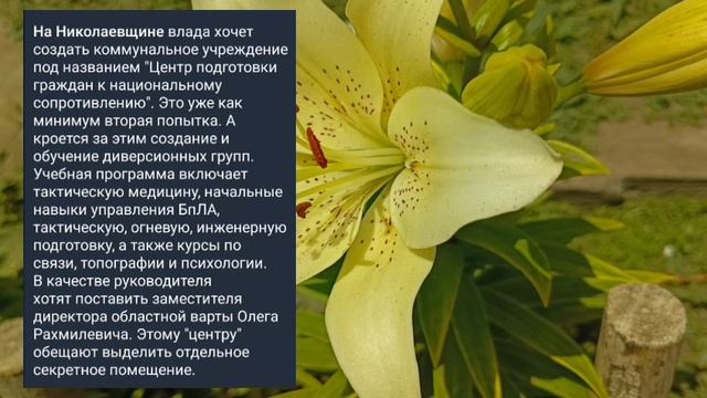 Николаев 24 июня 2025 года (новости)