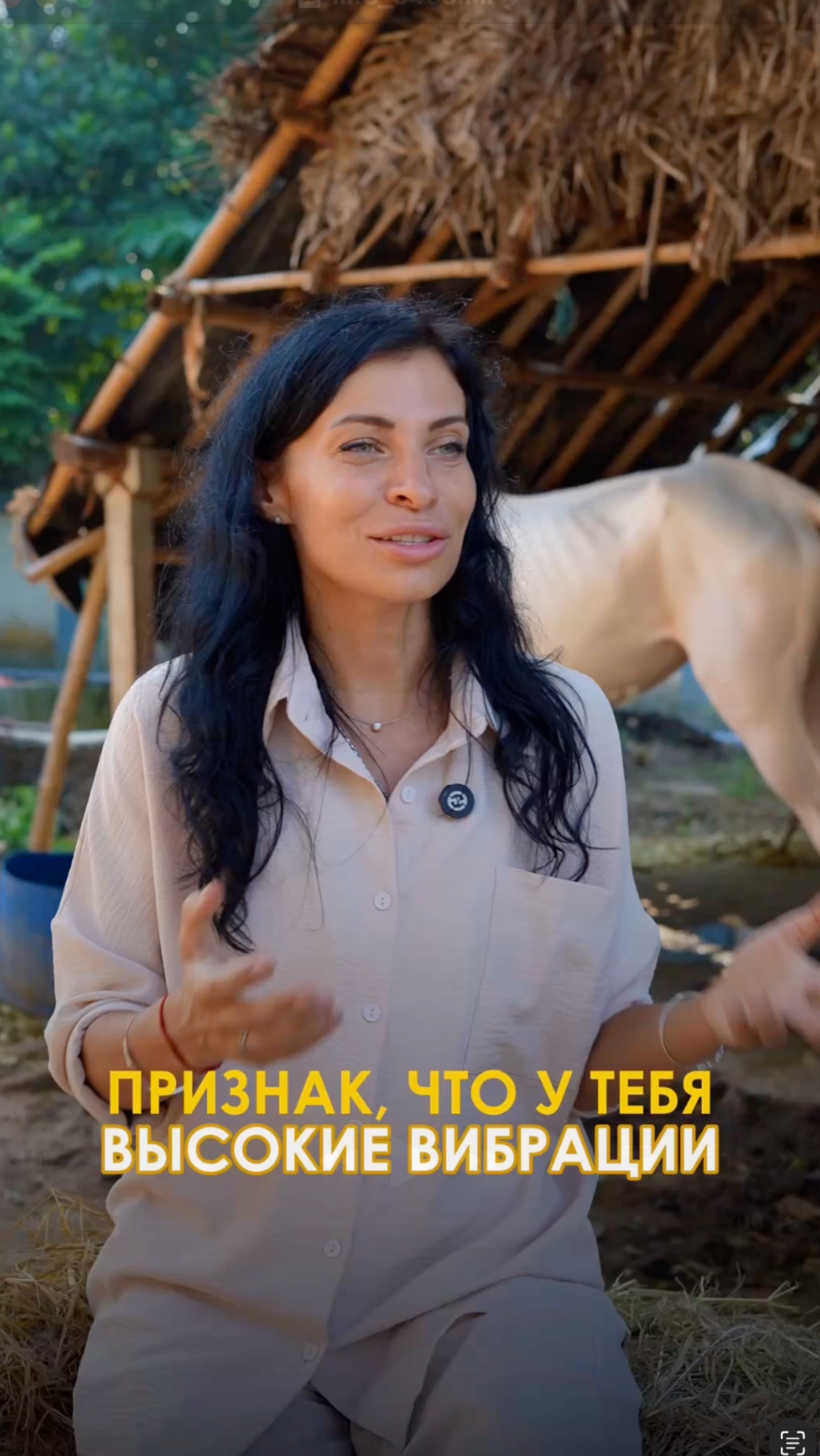 23 Июня 2025г.