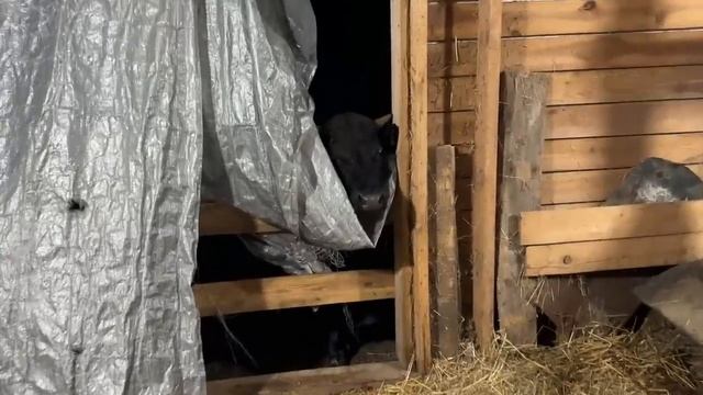 Возвращаемся к стройке в доме. Наводим порядок на участке. Погода испортила нам все планы.