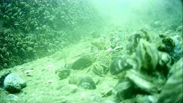 1000045193.mp4Волга гл.5м.23.06.2025г.