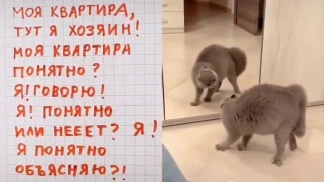 VID_20250623_234843_824.mp4