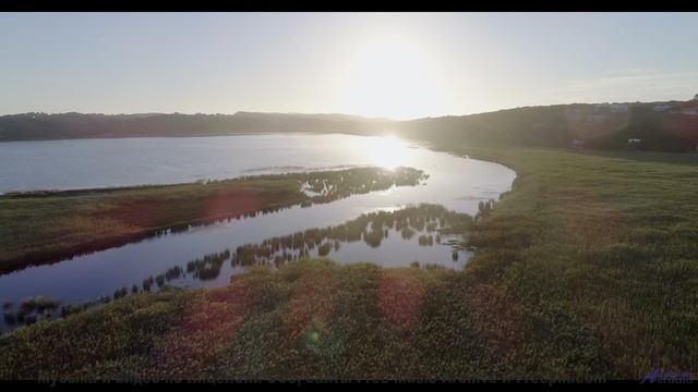 Эта музыка раскроет природу так, как никто не делал - Wasted Too Long -- Jeremy Allingham -- Run Wil