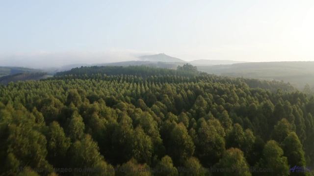 Дорога, рассвет и мелодия, которая звучит как биение ваших сердец - R R R R R Right Ok -- Soft and F