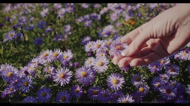 Слушайте эту песню - и пусть мир вокруг исчезнет! - Vision-Incision -- Ketsa -- The Lost Files