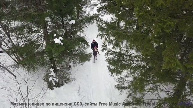 Это видео может изменить вашу ДНК - доказано наукой! - Not My Kinda Movie -- NADINE -- Live at WFMU