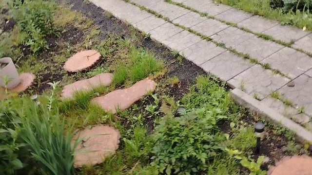 Что купила в лету аль, субботний ураган