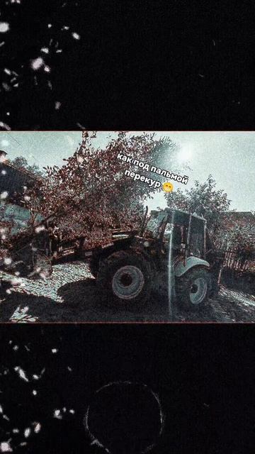 перекур..как под пальмой стою на гаити😁