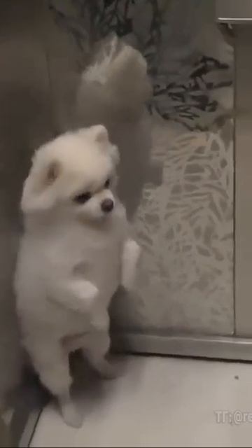Был окружён, но не сломлен 😁