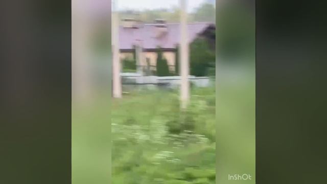 Олень