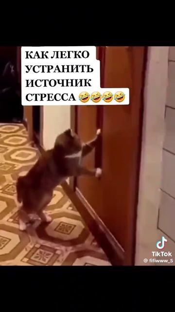 Источник стресса 

1000017970.mp4