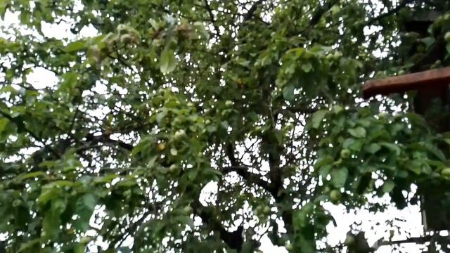 Отжас. Теджас. Прана.