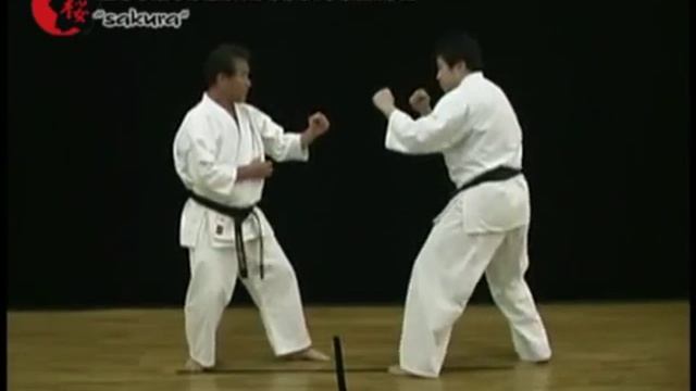 Ки в каратэ _Концентрация КИ_