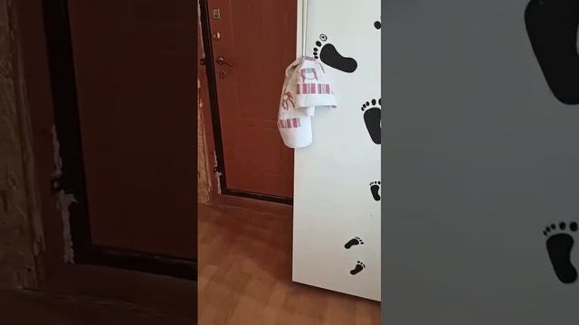 фазенда 2022 год что сегодня