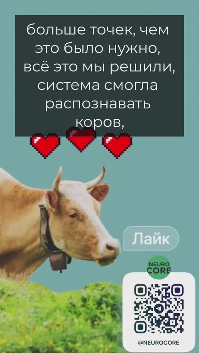 Знаете ли вы, что коровы могут резко терять вес при болезни?