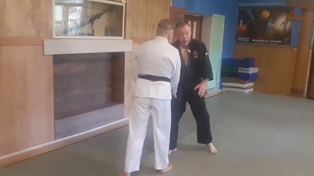 Каратэ Завершающее видео по Хэдоди бункай ката Сэн-э .Hedodi Bunkai-kumite Nr. 6