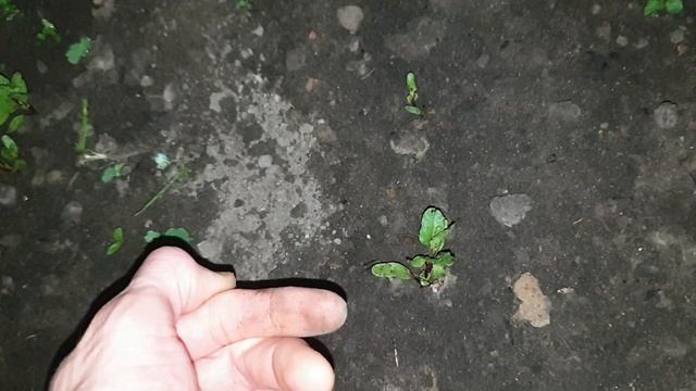 Работаем дождиком:)