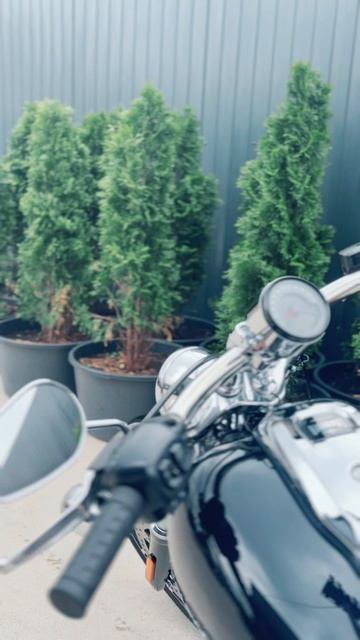 Harley-Davidson Breakout 2025