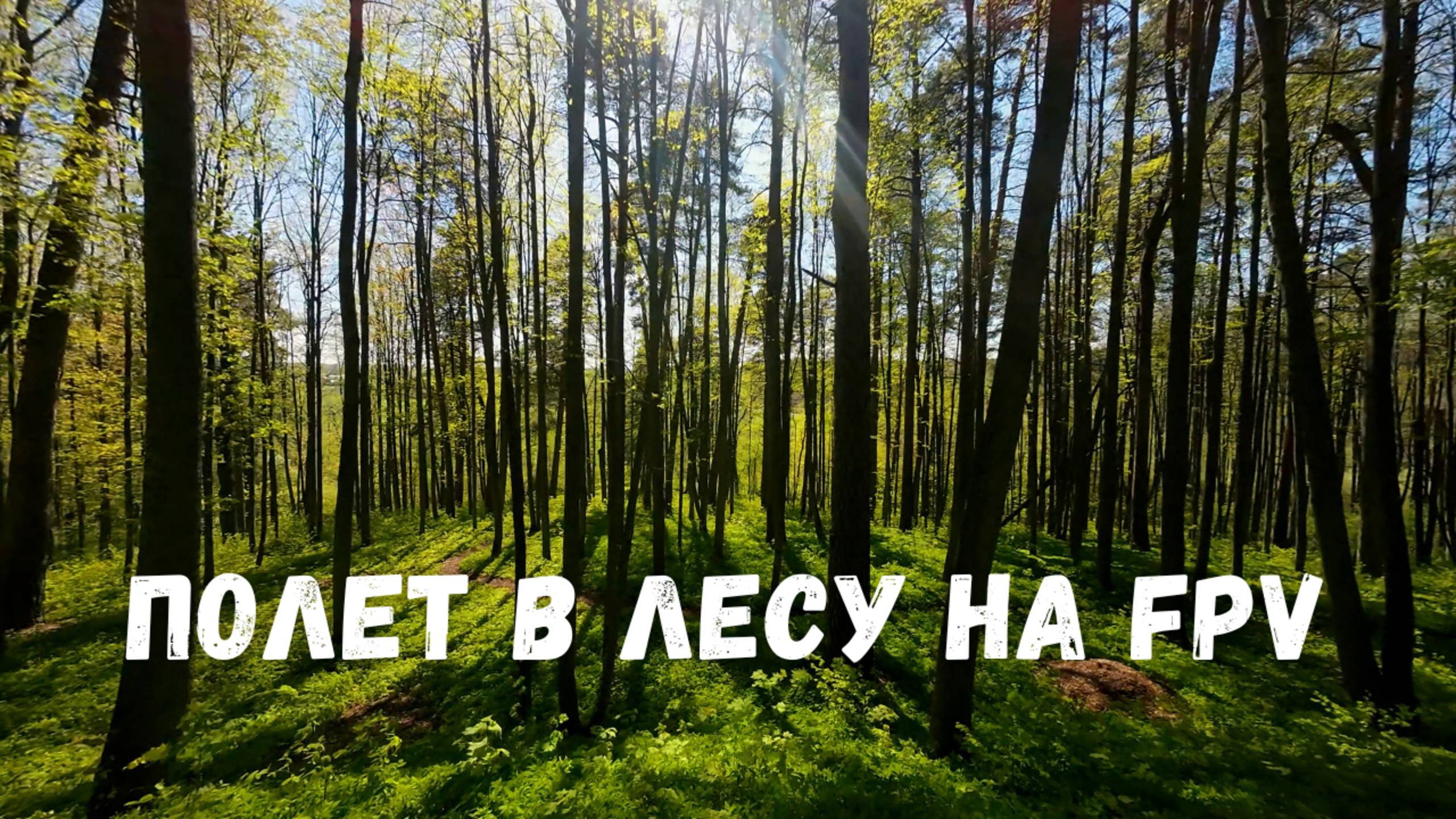 Полет в лесу на Cinewhoop. FPV cinematic