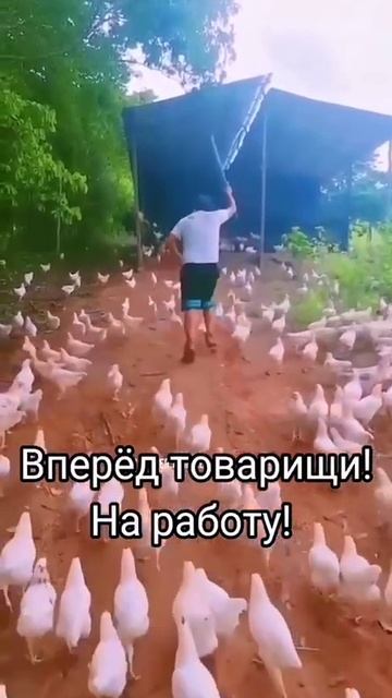 Понедельник. Пора на работу.