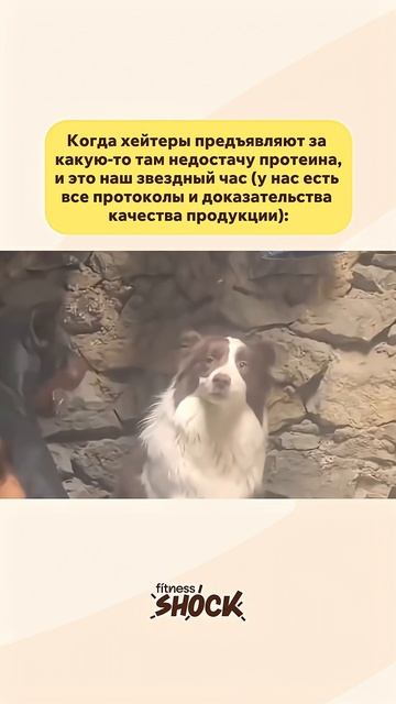 Все комментарии в нашем ТГ-канале ✌️