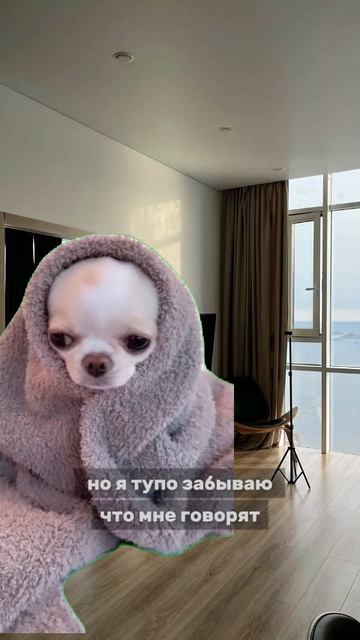 🙄А что с вашей памятью ? Может пора ей заняться, пока есть время?