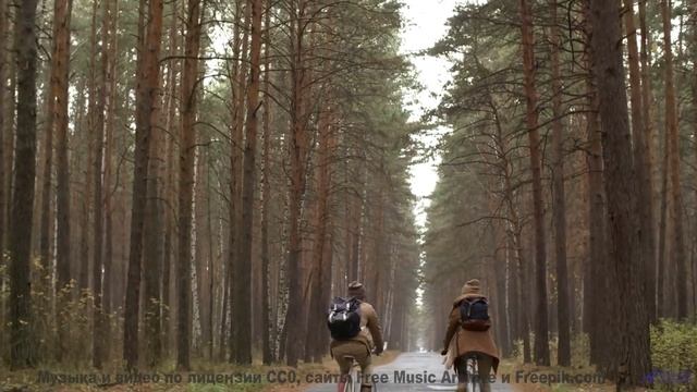 Музыка несёт сквозь леса, реки и закаты без остановки - Happy Ukulele -- Scott Holmes Music -- Happy