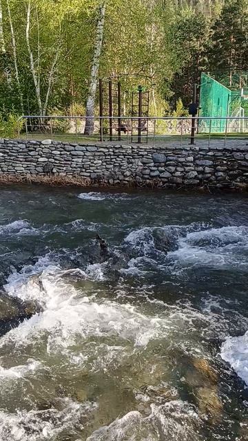 Чемал в Марьиной Роще.