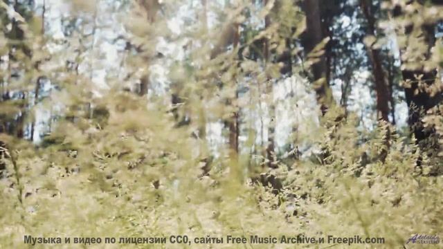 Видео, которое нельзя смотреть без нейроимплантов - или можно - The Garden -- Blue Lotus -- Blue Lot