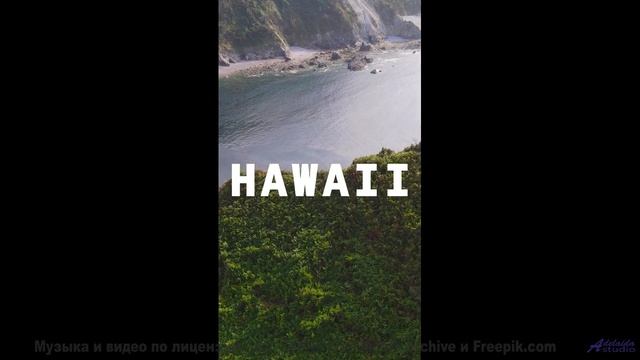 Этот клип - как любовное письмо, написанное вселенной! - tell me so -- los pilotos -- starfish