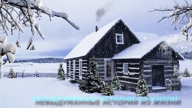 Истории из жизни. НЕЛЮБИМАЯ ЖЕНА. Аудио рассказ. Жизненные истории