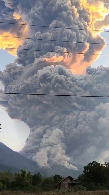Все, что нельзя показать здесь - уже в тг, ссылка в шапке профиля