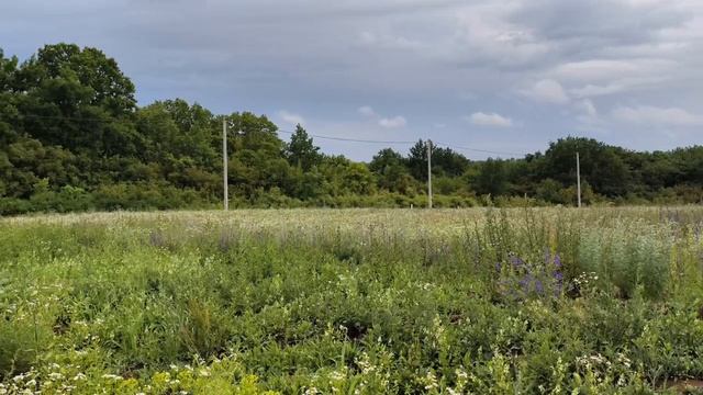 Участок ИЖС Село Стрелецкое
