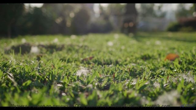 Это видео ВЫЗОВЕТ у тебя мурашки! - Track 12 -- Berbere Superstar -- The Best Things Are Never Recor