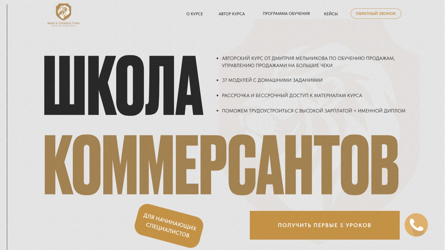 M'n'S Consulting. Обзор сайта.