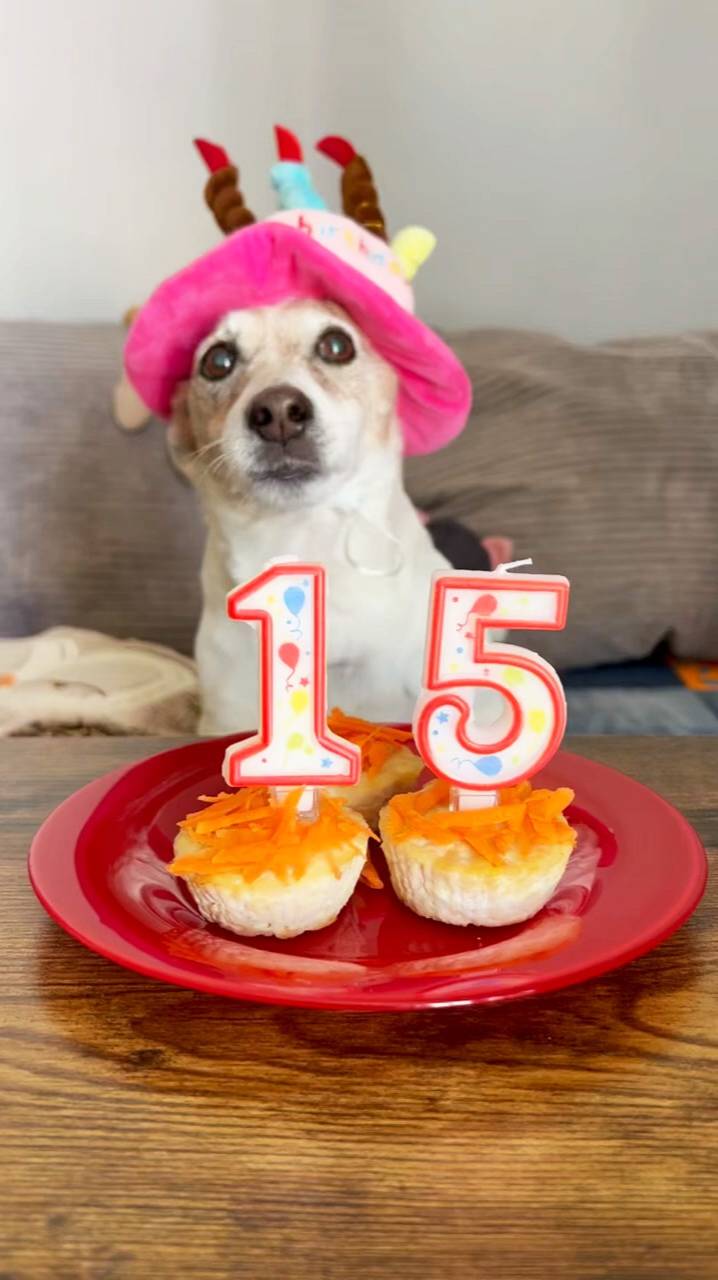 Джеку 15 🎈