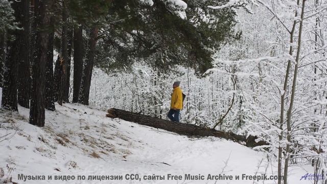 Музыка, которая нарушает законы физики - как это возможно - Lifeforce 9 -- Mr.ruiZ -- Winter Haze, S